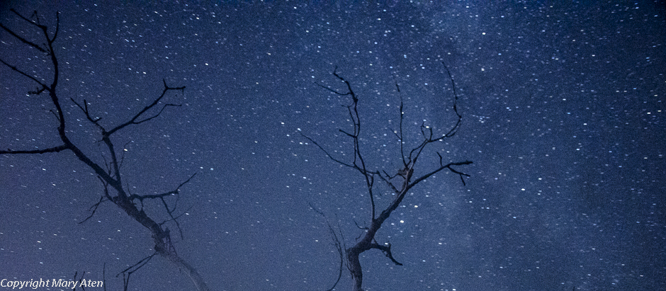 night sky - stars photo