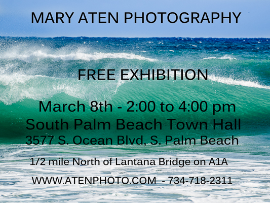 South-Palm-Beach-Florida-Exhibition - Mary Aten Photography